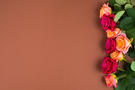 rose flowers framing one side. High quality photoの写真素材