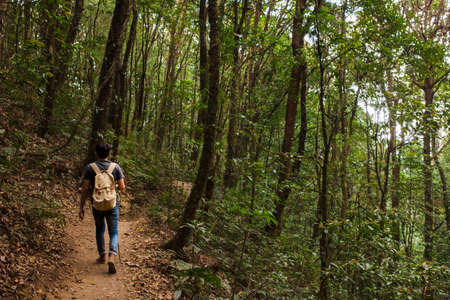 hiker with backpack walking forest. High quality photo