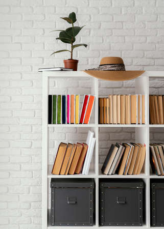 bookshelf with plant hat. High quality photoの写真素材