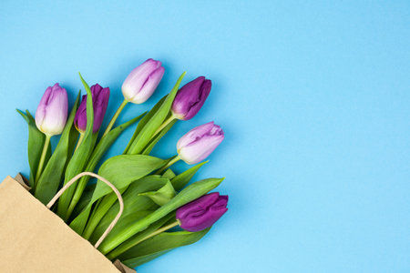 bunch purple tulips with brown paper bag arranged corner against blue background. High quality photoの写真素材