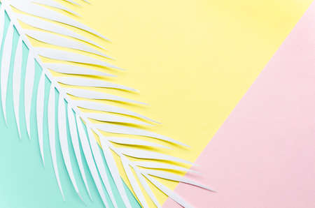 paper palm leaf multicolored table. High quality photo