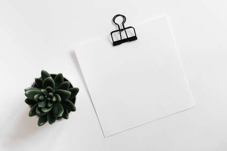 cactus pot plant with white blank paper with paperclip white background. High quality photoの写真素材