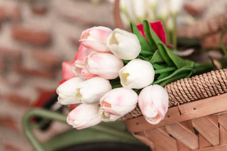 low angle spring tulips basket. High quality photoの写真素材