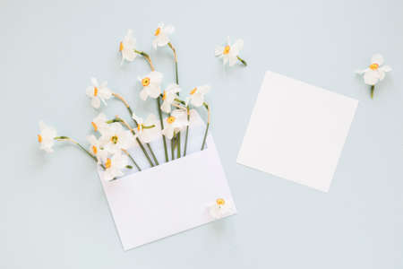 flowers. High quality photoの写真素材