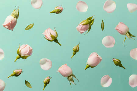 top view pink spring roses. High quality photoの写真素材