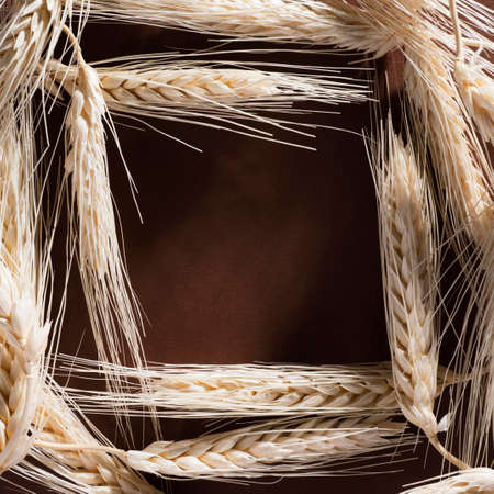 top view organic wheat with copy space. High quality photoの写真素材