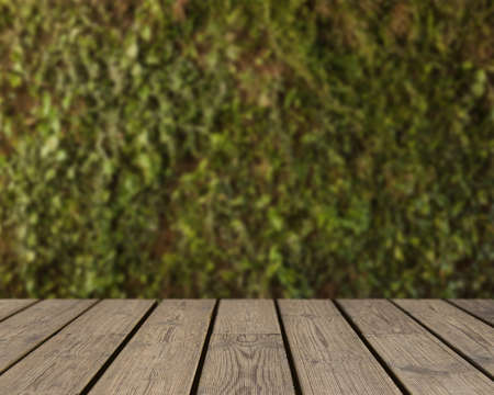 wooden texture looking out grass background. High quality photoの写真素材