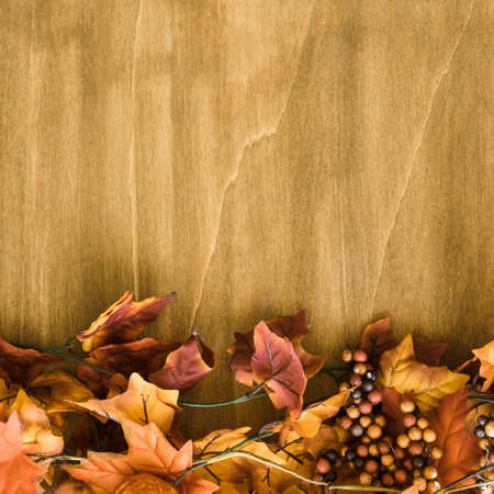 autumn leaves space. High quality photoの写真素材