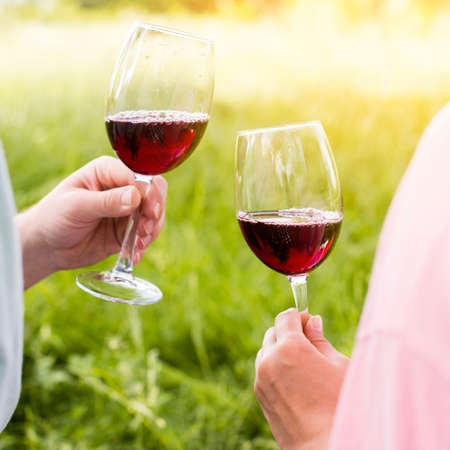 wineglasses with red wine hands couple picnic. High quality photoの写真素材