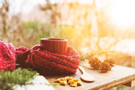 conifer cones twigs near sweater beverage. High quality photo