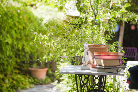 books table backyard. High quality photo