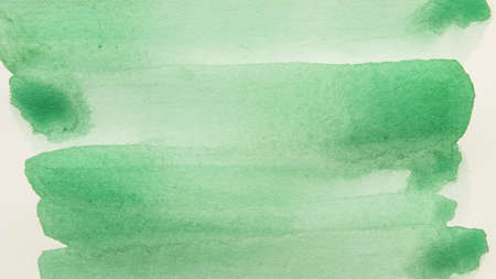 full frame green brush stroke against white background. High quality photoの写真素材