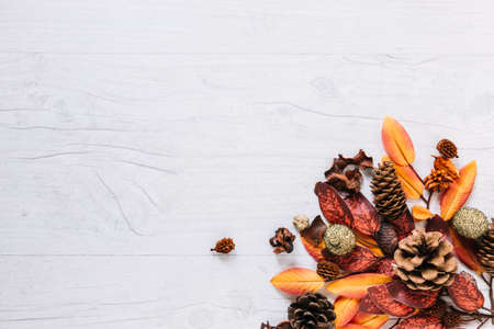 multicoloured bunch leaves. High quality photoの写真素材