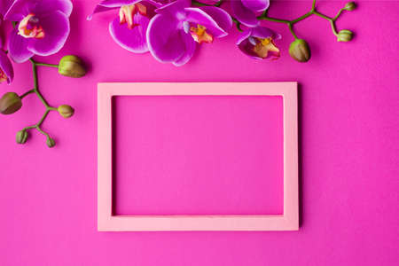 orchid flowers with empty frame. High quality photo
