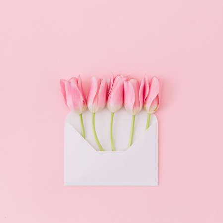 tulip flowers envelope table. High resolution photoの写真素材