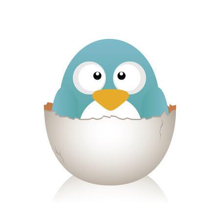 abstract cute bird and a broken egg on a white backgroundのイラスト素材