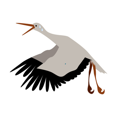Isolated stork on a white background, Vector illustrationのイラスト素材