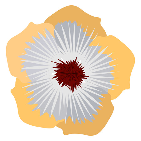 Isolated detailed flower on a white background, Vector illustrationのイラスト素材