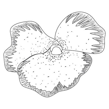 Isolated sketch of a flower, Vector illustrationのイラスト素材