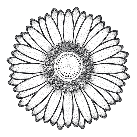 Isolated sketch of a flower, Vector illustrationのイラスト素材