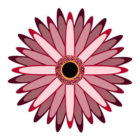 Isolated detailed flower on a white background, Vector illustrationのイラスト素材