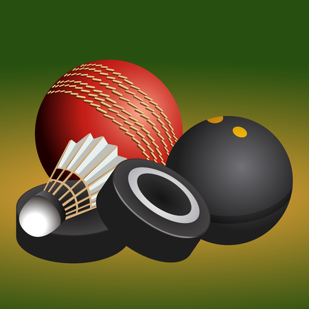 Set of sport equipments on a green background, illustrationのイラスト素材
