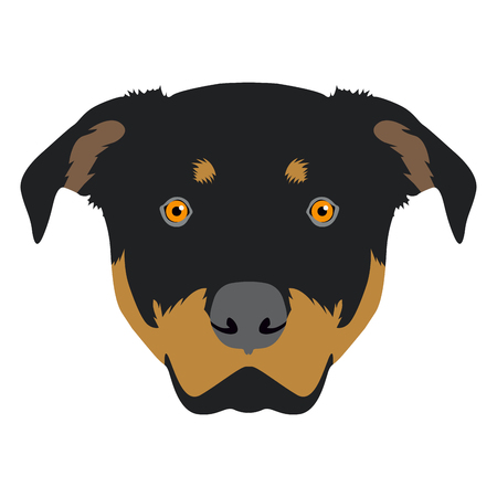 Isolated rottweiler face icon on a white background, vector illustrationのイラスト素材