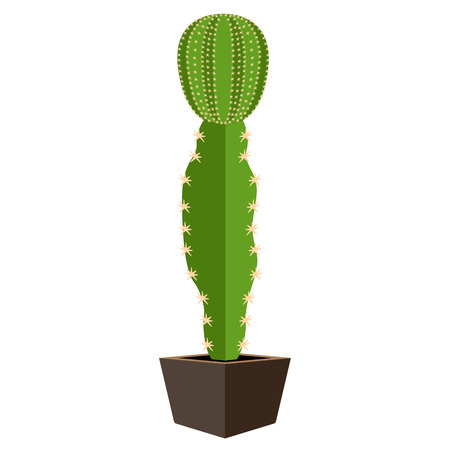 Cute cactus icon Vector illustration.のイラスト素材
