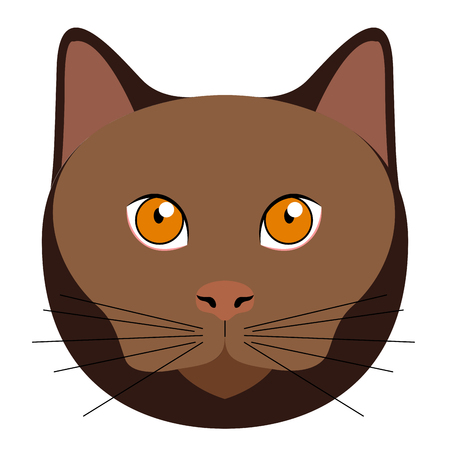 Avatar of a cat. Cat breedsのイラスト素材