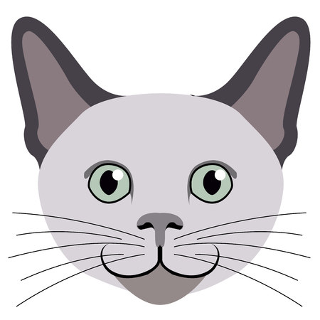 Avatar of a cat. Cat breedsのイラスト素材