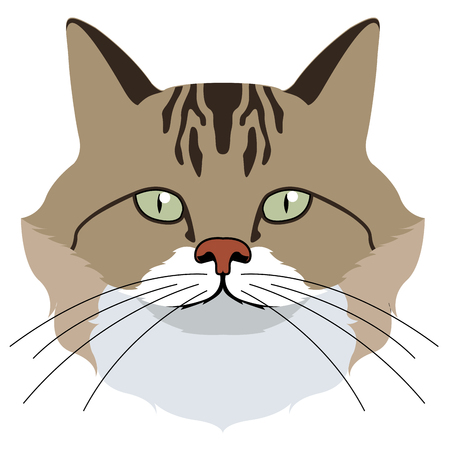 Avatar of a cat. Cat breedsのイラスト素材