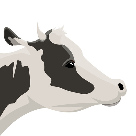 Isolated cow head image. Vector illustration designのイラスト素材