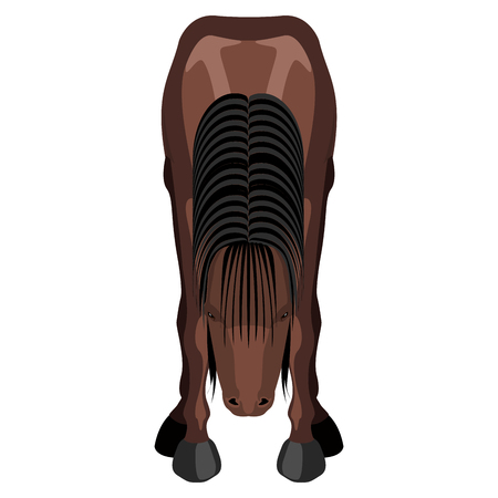 Front view of a horse. Vector illustration designのイラスト素材