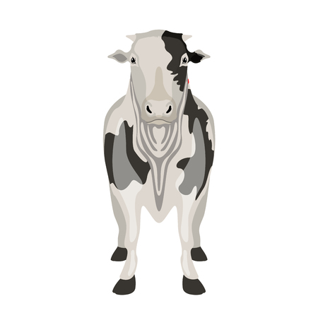 Front view of a cow. Farm animal. Vector illustration designのイラスト素材