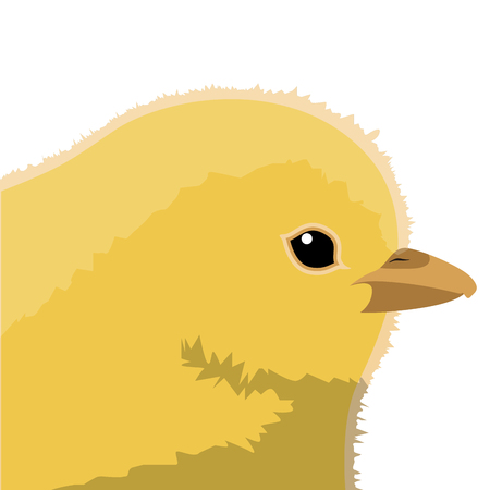 Isolated chicken head. Farm animal. Vector illustration designのイラスト素材