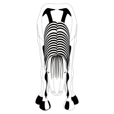 Front view of a horse. Silhouette. Vector illustration designのイラスト素材