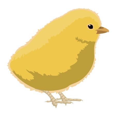Isolated cute chicken image. Vector illustration designのイラスト素材