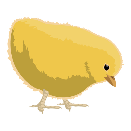 Isolated cute chicken image. Vector illustration designのイラスト素材