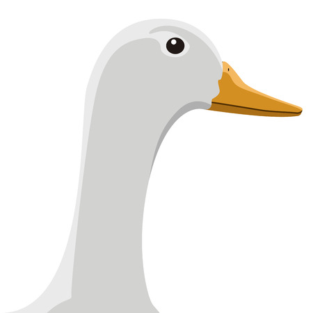 Isolated duck head. Farm animal. Vector illustration designのイラスト素材