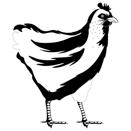 Isolated cute hen silhouette. Vector illustration designのイラスト素材