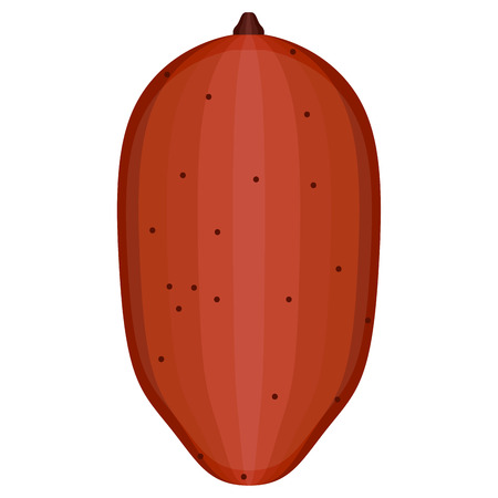 Isolated sweet potato icon image. Vector illustration designのイラスト素材
