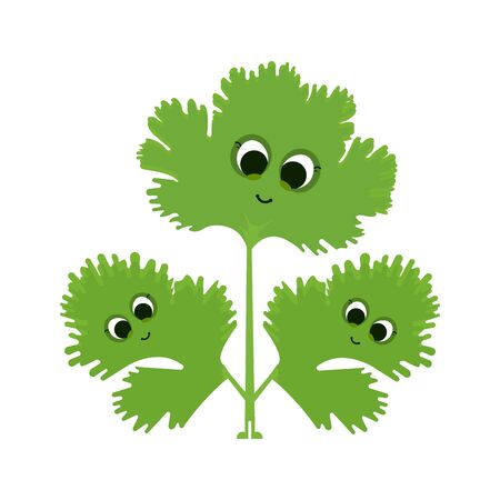 Isolated coriander cartoonのイラスト素材