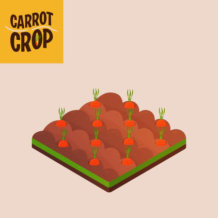 Home crop carrot in white background food health icon- Vectorのイラスト素材