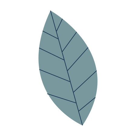 Isolated colored natural leaf icon Vectorのイラスト素材