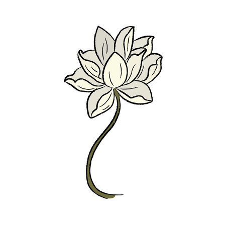Isolated colored realistic flower sketch Vectorのイラスト素材