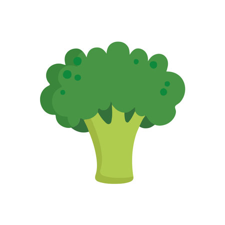 Isolated colored broccoli icon Flat design Vectorのイラスト素材