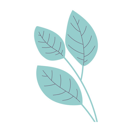 Isolated branch of leaves icon Vectorのイラスト素材