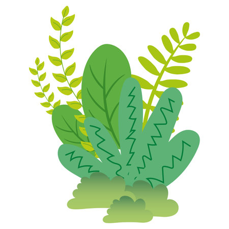 Isolated colored natural bush icon Vectorのイラスト素材