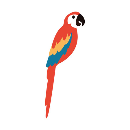 Isolated cute colored parrot cartoon character Vectorのイラスト素材