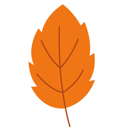 Isolated colored seasonal leaf icon Vectorのイラスト素材